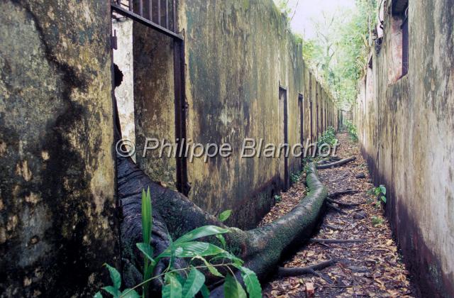 guyane 07.jpg - Ile Saint Joseph (Ile du Silence)Vestiges du bagneGuyane franÁaise